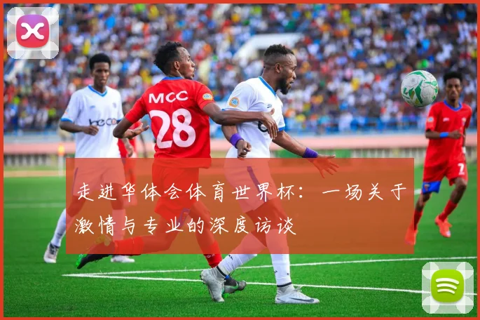 走进华体会体育世界杯：一场关于激情与专业的深度访谈
