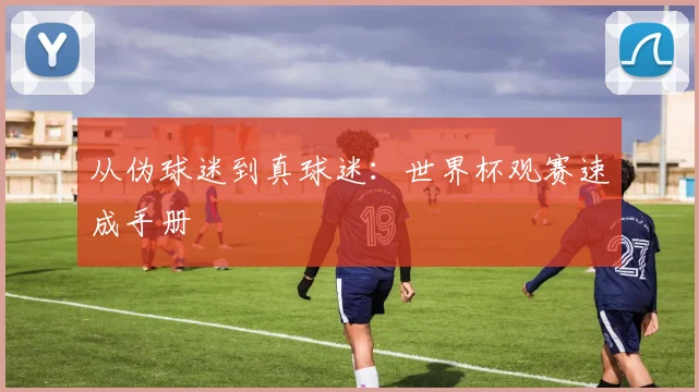 从伪球迷到真球迷:世界杯观赛速成手册