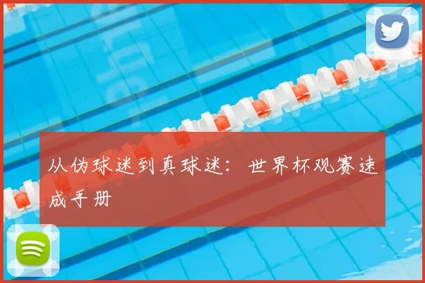 从伪球迷到真球迷:世界杯观赛速成手册
