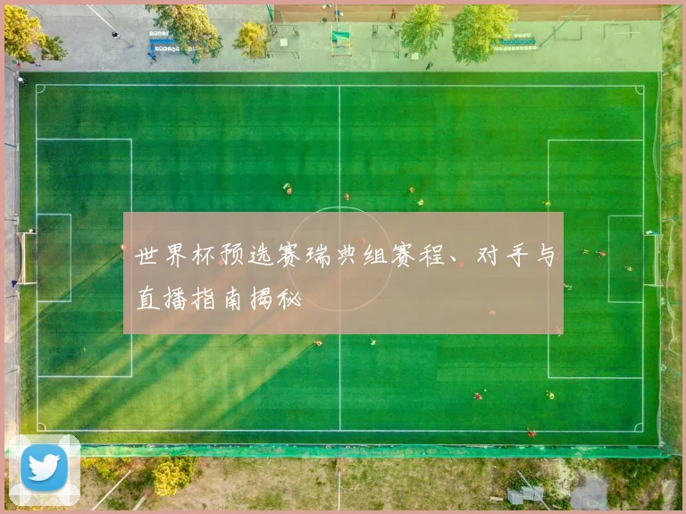 世界杯预选赛瑞典组赛程、对手与直播指南揭秘