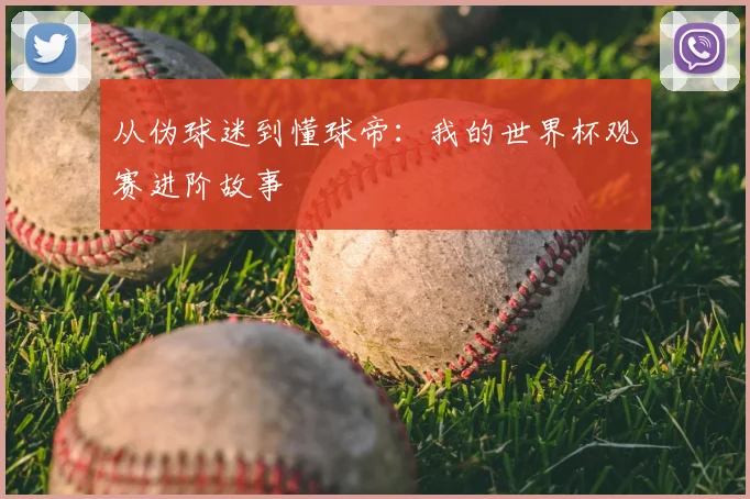 从伪球迷到懂球帝：我的世界杯观赛进阶故事