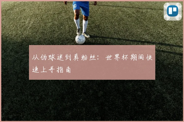 从伪球迷到真粉丝:世界杯期间快速上手指南