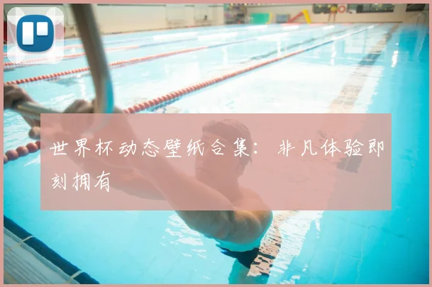 世界杯动态壁纸合集：非凡体验即刻拥有