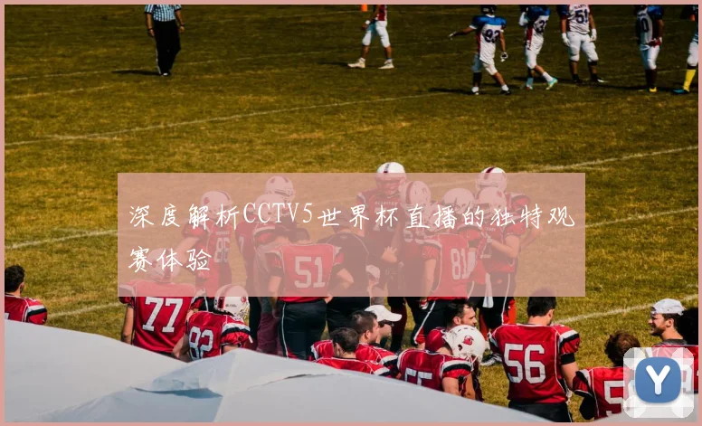 深度解析CCTV5世界杯直播的独特观赛体验