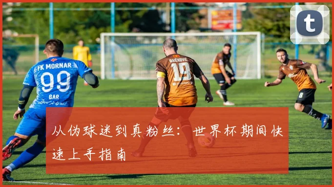 从伪球迷到真粉丝:世界杯期间快速上手指南