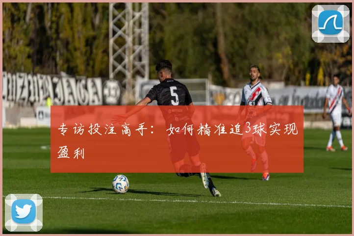专访投注高手：如何精准追3球实现盈利