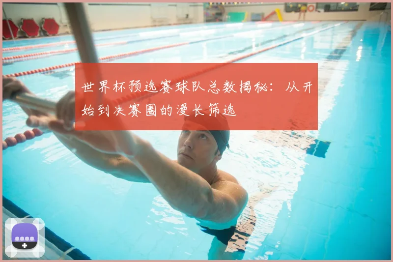 世界杯预选赛球队总数揭秘:从开始到决赛圈的漫长筛选