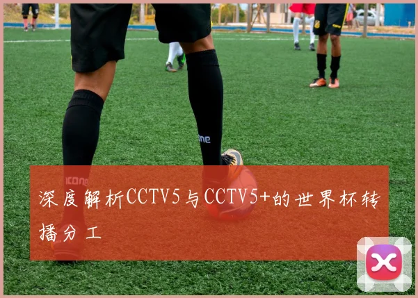 深度解析CCTV5与CCTV5+的世界杯转播分工